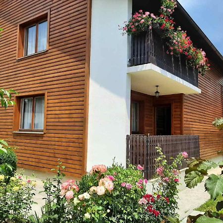 Aleksandar Apartmani Pale Dış mekan fotoğraf