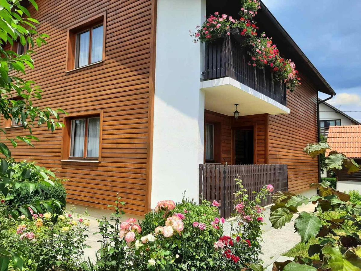 Aleksandar Apartmani Pale Dış mekan fotoğraf